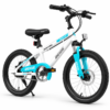 Kids Mountain Bike with Disc Brake 20 Inch