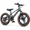 Kids Mountain Bike with Disc Brakes & Front Suspension