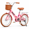20 Inch Foldable City Bicycle with Front Basket