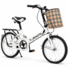 20 Inch Single Speed Folding Bicycle