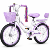 20 Inch Girls City Bicycle with Basket