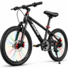 22 Inch Adult Aluminum Mountain Bike