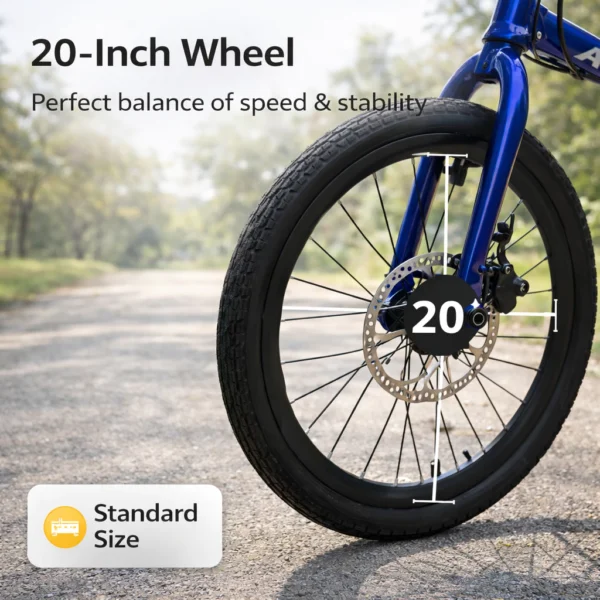 20 Inch Folding Bicycle with Disc Brakes